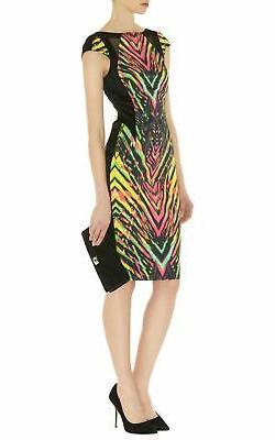 Mesh Dress Sz 14 Bnwt